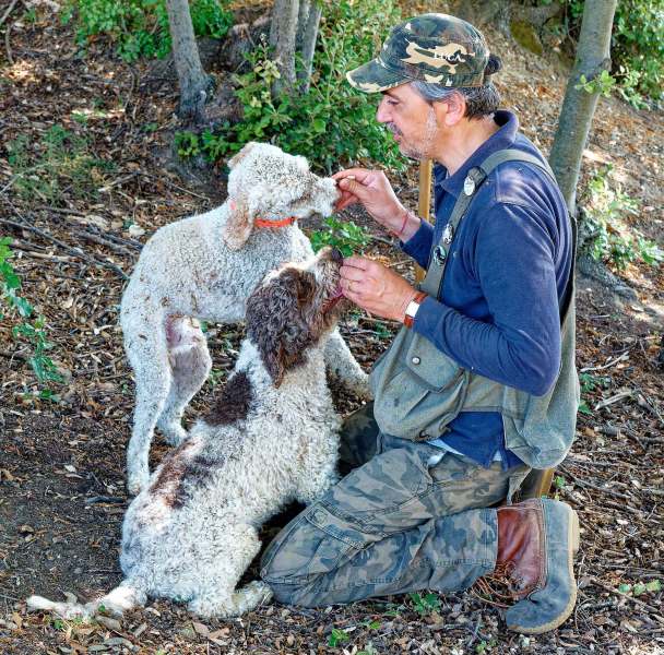 Der Trüffelguide belohnt seine beiden Trüffelhunde